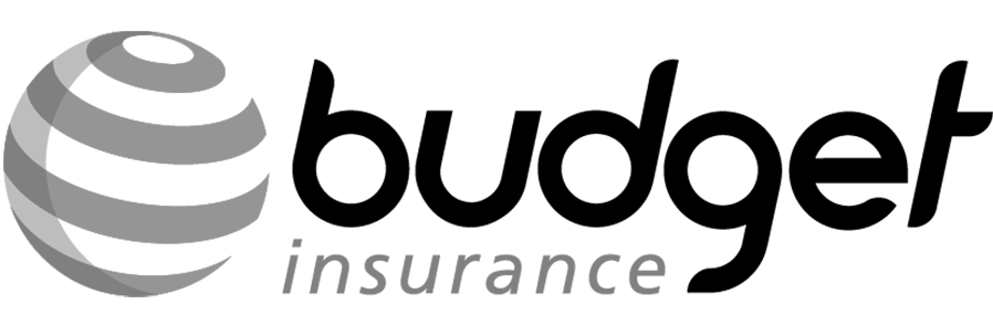 Budget Insurance Logo Black & White