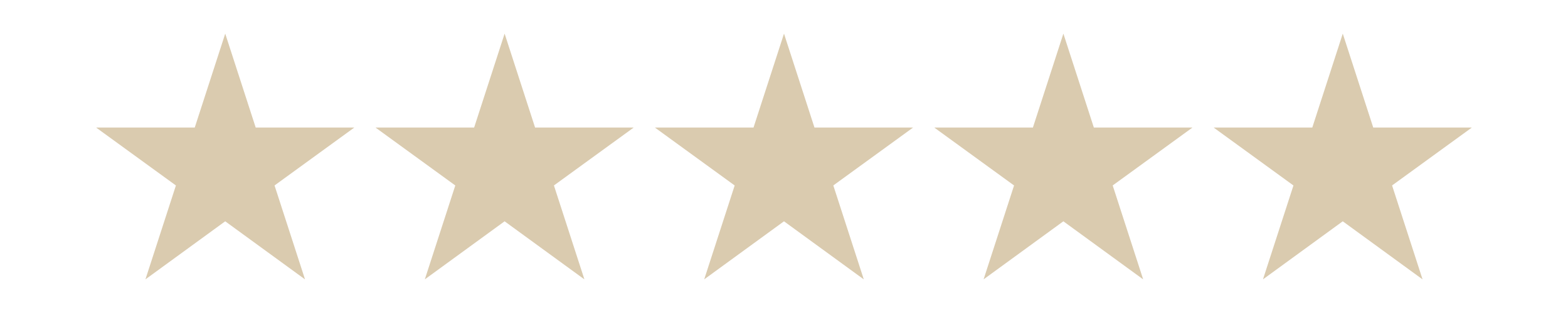 Perennity Digital Marketing (Icon)