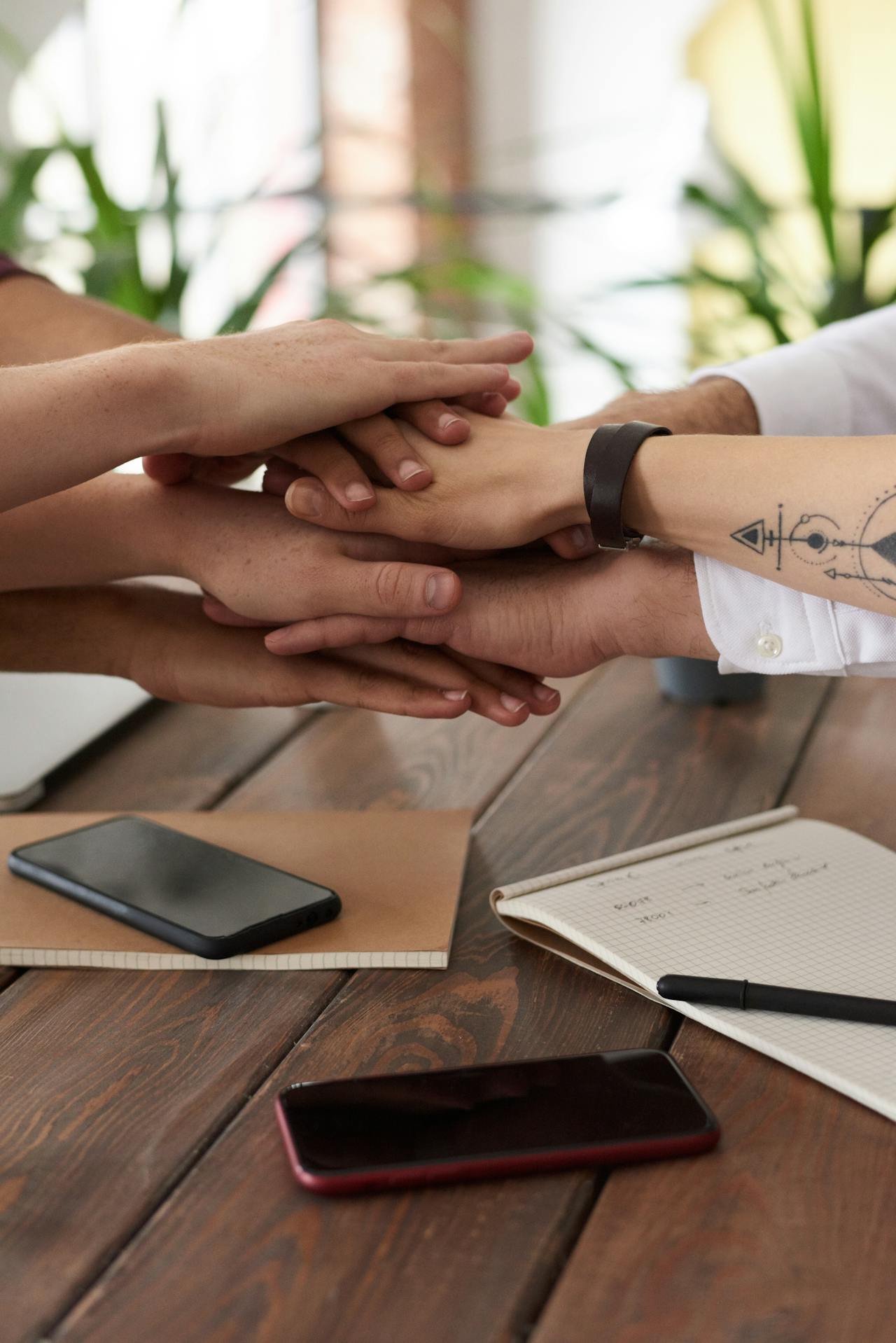 Influencer Partnership Programme - Perennity Entrepreneurship Academy